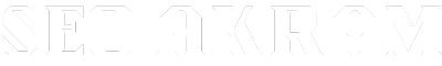 akramseo.com